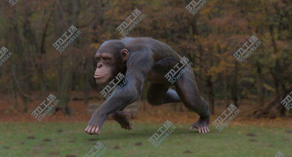 images/goods_img/20210312/Chimpanzee 3D/2.jpg